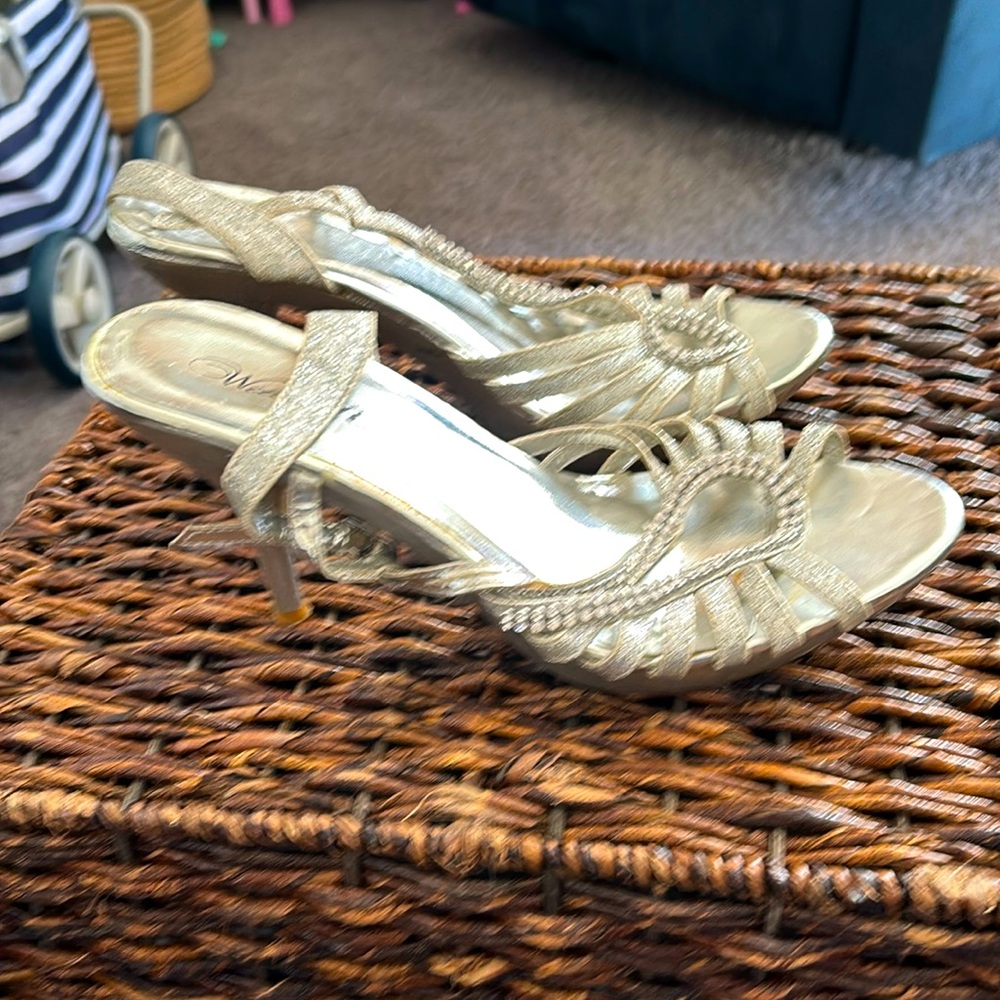 Silver dazzling Wild Rose Heels